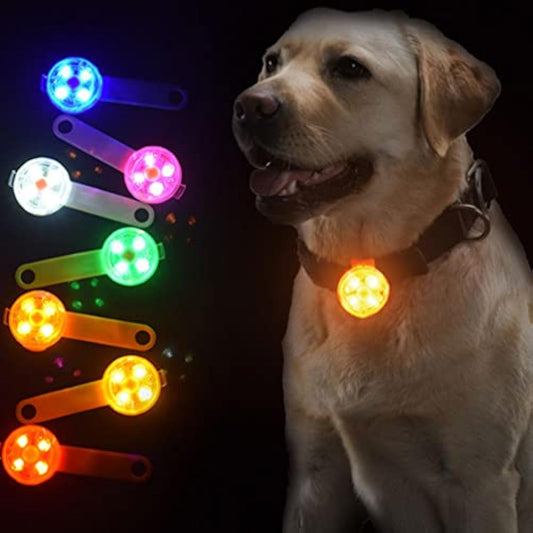 Pet Glow Pendant, Pet Hanging Outdoor, Pendant Dog Leash Lights For Night Walking